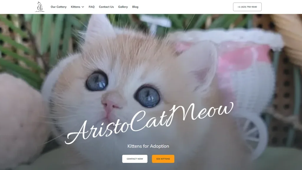 AristoCatMeow project